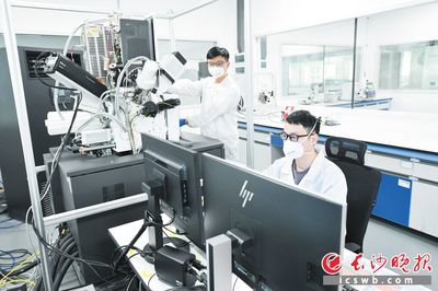 巴斯夫杉杉 技術研發驅動，打造全球領先的電池正極材料供應商