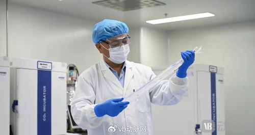 國產生物型人工血管獲創新通道認可，心血管治療迎來新突破